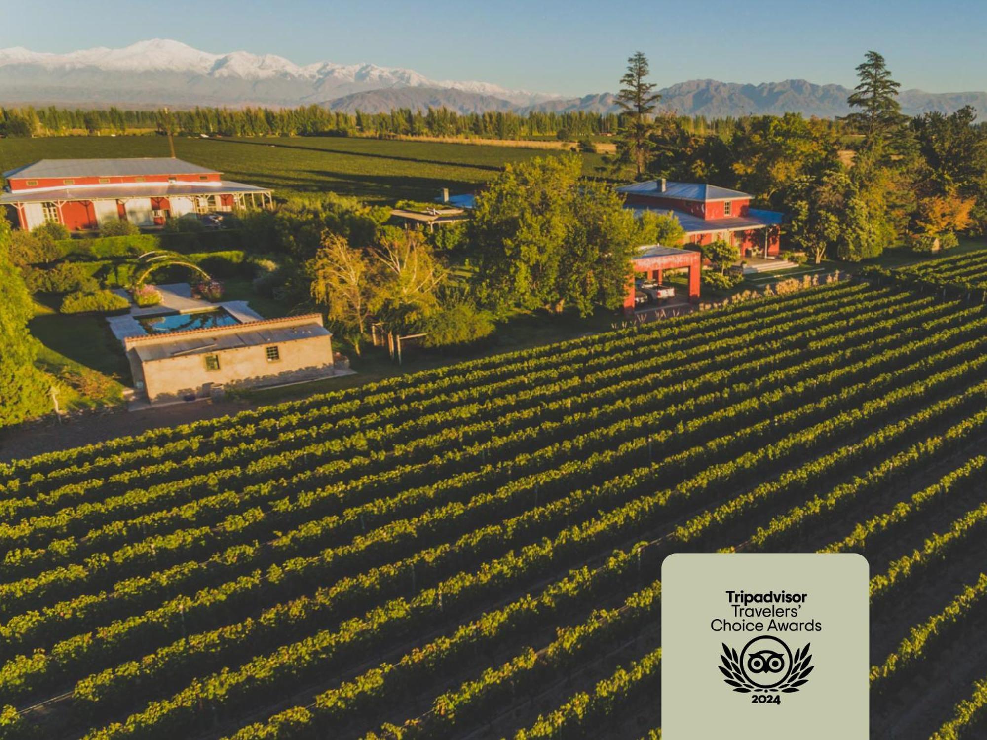 Enlace Wine House Lujan de Cuyo Eksteriør bilde