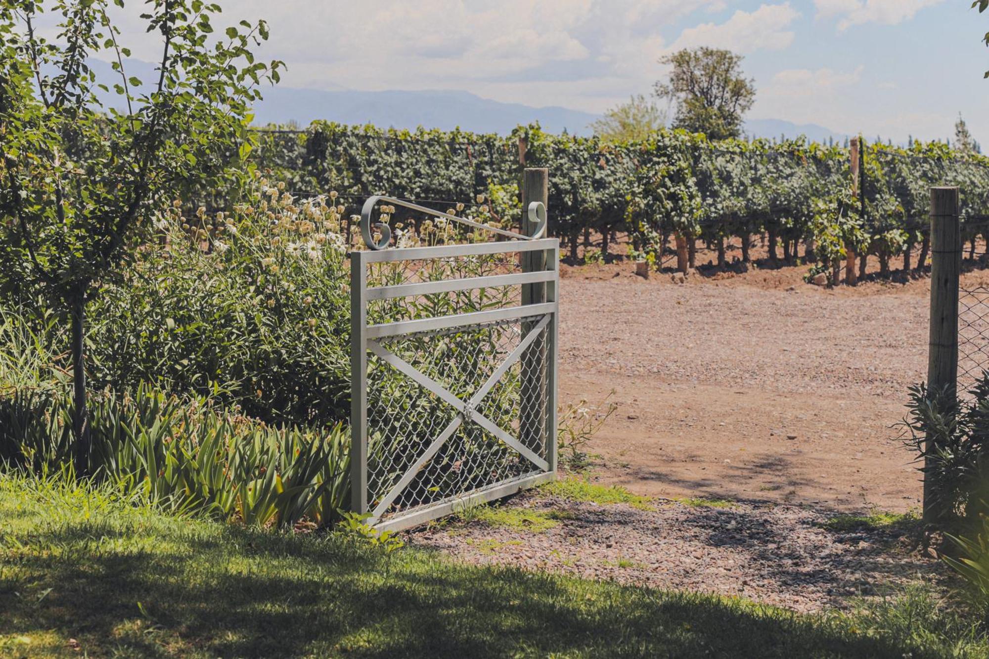 Enlace Wine House Lujan de Cuyo Eksteriør bilde