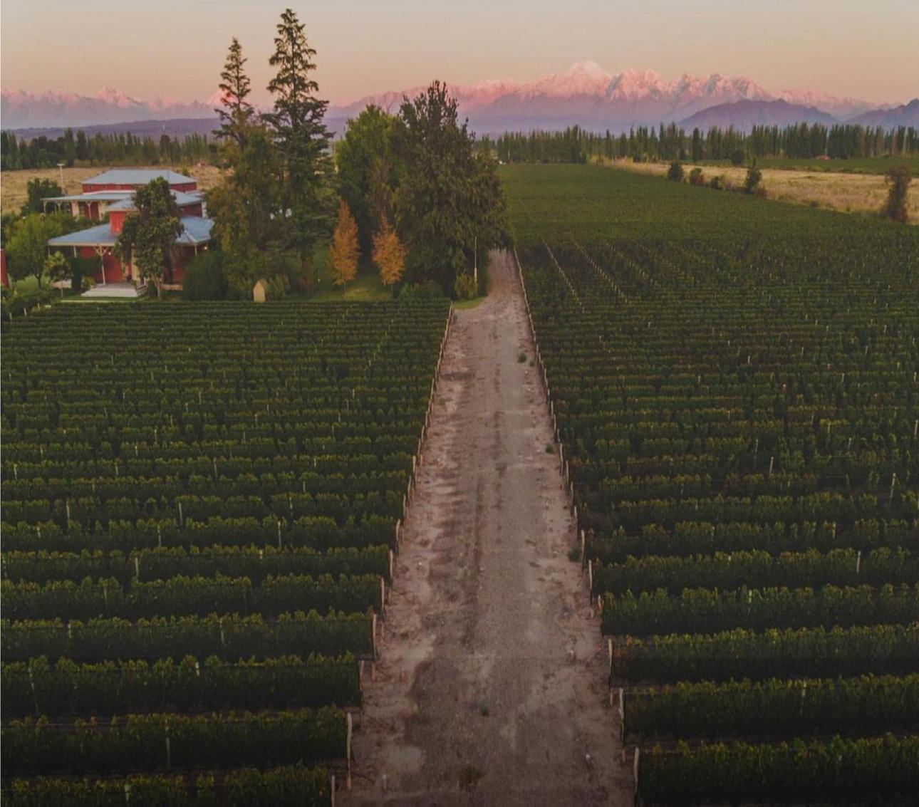 Enlace Wine House Lujan de Cuyo Eksteriør bilde
